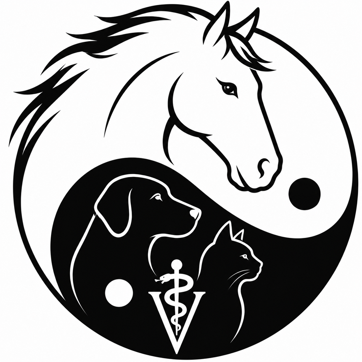 Equine Balanced Veterinary Care